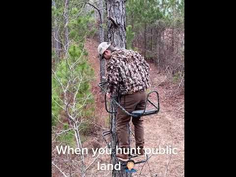 This is why I don&#039;t hunt public land.