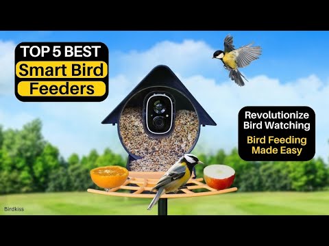 Top 5 Best Smart Bird Feeders [2023] Revolutionize Bird Watching