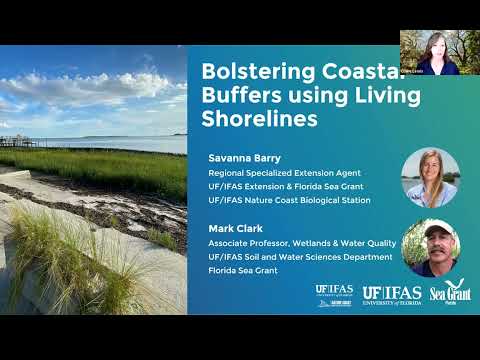 Living Shorelines