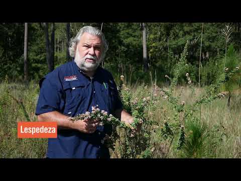 Bobwhite Quail Habitat Characteristics