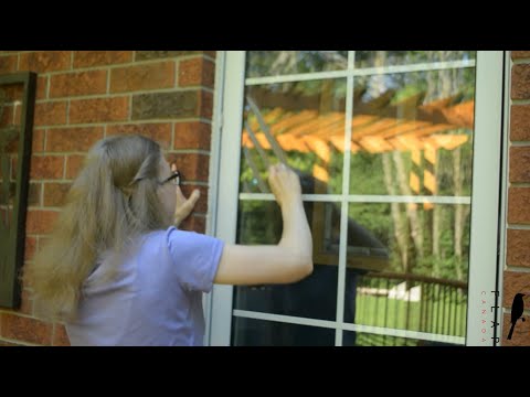 Stop Birds From Hitting Windows in Minutes With a Bar of Soap