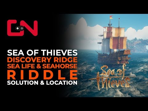 Sea of Thieves Discovery Ridge Sea Life &amp; Seahorse Riddle Solution &amp; Location