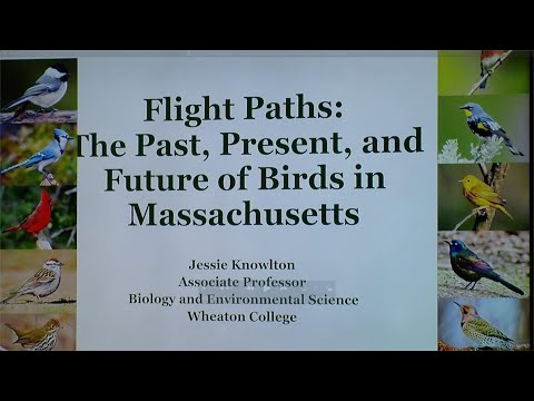 Flight Paths The Past, Present and Future of Birds in Massachusetts 05/19/2024