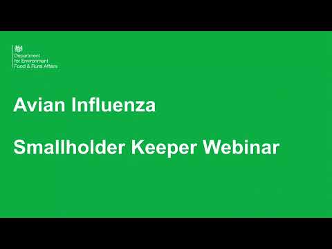 Bird Flu (Avian Influenza) Smallholder Keeper Webinar