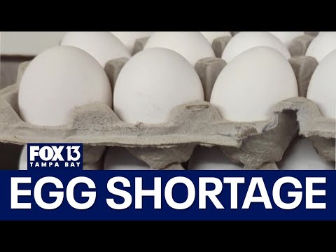 Bird flu brings egg shortage to some grocery stores