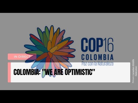 Colombia&#039;s Bold Plan for Biodiversity at COP16: Optimism and Action